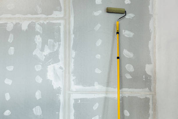 Trusted Shorewood Tower Hills Harbert, MI Mold Removal Experts