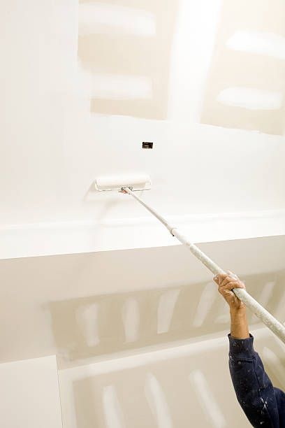 Best Environmental Consulting for Mold Prevention  in Shorewood Tower Hills Harbert, MI